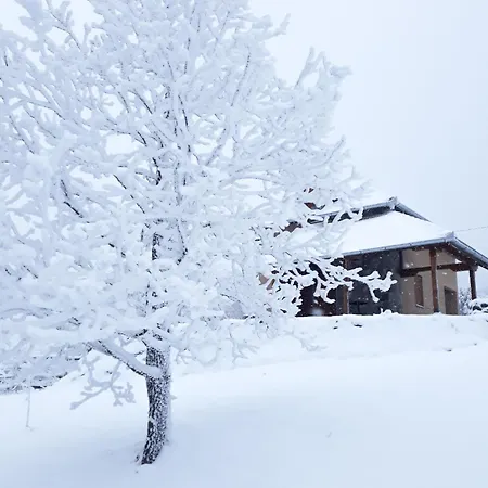 Planinska Kuca Radulovic * Berg Goč