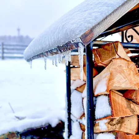 Ferienhaus Planinska Kuca Radulovic