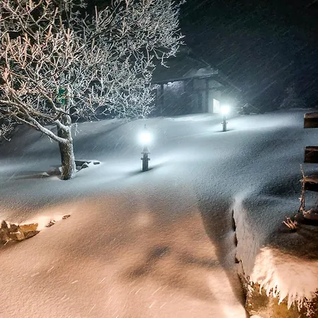 Ferienhaus Planinska Kuca Radulovic *