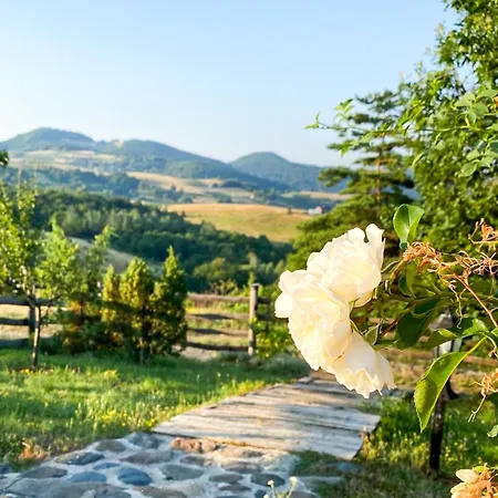 Planinska Kuca Radulovic Ferienhaus *