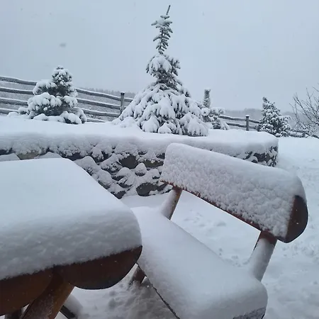 Дом отдыха Planinska Kuca Radulovic Гоч